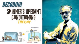 A Comprehensive Exploration Of Skinner’s Operant Conditioning Theory [upl. by Kred658]