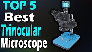 TOP 5 Best Trinocular Microscope Review In 2024 [upl. by Joo455]