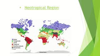 Zoogeographical Regions Zoology LCWUlife Sciences with Mehwish Khan BS 4 years [upl. by Stanfield791]