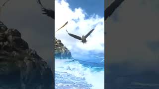 The Most Spectacular Eagle Attacks Ever Recorded [upl. by Lennaj]