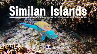 Similan Islands  One of the Top 10 dive destinations to visit in the World [upl. by Orton665]