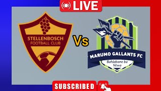 Stellenbosch FC vs Marumo gallant Match south africa premier Soccer league Live Match 2024 [upl. by Julietta]