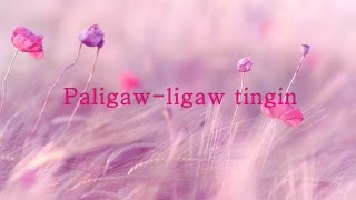 Paligaw ligaw tingin with lyrics [upl. by Nyrrek]