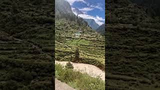 himachalpradesh kasol kasoldiaries kasolo kasolvlog kasoltrip kasoli [upl. by Karlyn]