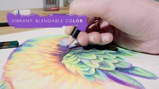 Spotlight on Derwent Chromaflow Colored Pencils [upl. by Enneite491]