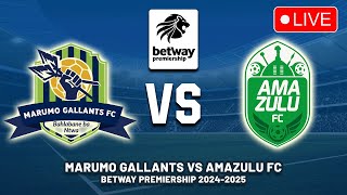 MARUMO GALLANTS VS AMAZULU FC Betway Premiership 202425 Preview Lineup Predictions  Live DStv [upl. by Pachston806]