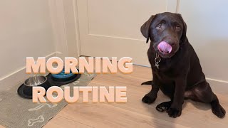 LABRADOR PUPPYS MORNING ROUTINE [upl. by Chimene]