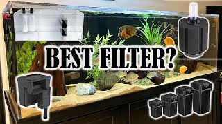 Aquarium Filtration  Which Type of Filter is Best for You [upl. by Dasi467]