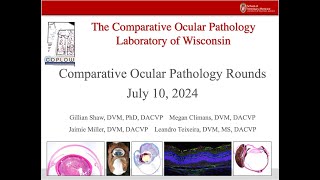 COPLOW Ocular Pathology Rounds July 10 2024 [upl. by Pavia492]