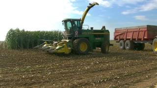 ensilage maïs john deere 6850 [upl. by Nosreve249]