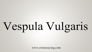 How To Say Vespula Vulgaris [upl. by Aliza]