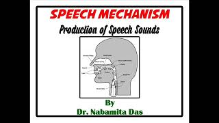 Production of Speech Sounds [upl. by Sivar]