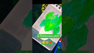 Easy plant drawingA Philodendron Plant 🎨❤️😊reels art ankasartgallery reelfeed [upl. by Elset276]