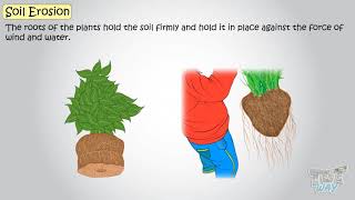 Soil Part3  Soil Erosion  Science  Grade34  Tutway [upl. by Chilt]