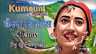 Garhwali Old Song Dj mix 2024  Dj Peeyush  chela bilora  new year special 2024 [upl. by Ennaeirb]