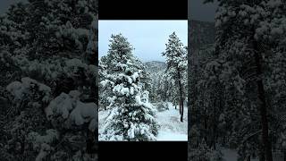 Winter comes to the Colorado mountains colorado winter snow plowing 4wheeler mountains [upl. by Ahsinan577]