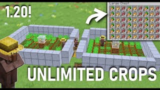 how to make automatic carrot from 120 Automatic carrot from kaise bnaye Minecraft 120 [upl. by Oiralednac]