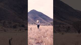 Mama told me they’d be days like this See my latest hike 🤯 stunning views newmexicohikingshorts [upl. by Cunningham]