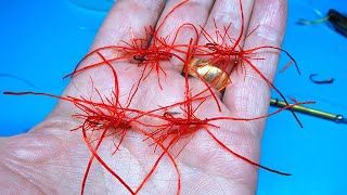 Tying an Apps Blood Worm by Davie McPhail [upl. by Reklaw357]