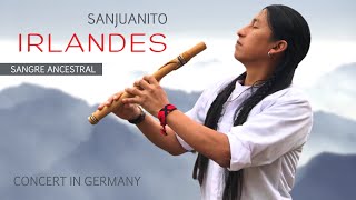 Sanjuanito Irlandes  Traditional Andean Music  Live Concert  Happy Energetic Music  Quena Flute [upl. by Sillihp]