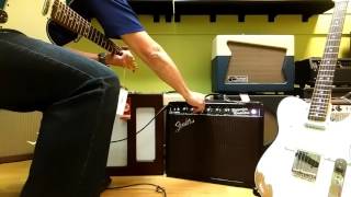 Magnatone Varsity Vs Fender Ltd Ed 65 Princeton Reverb Reissue wG10 Gold [upl. by Giraud]