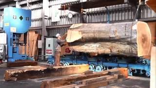 Inside a modern sawmill in Japan  Visit wood processing plants [upl. by Gnaw]