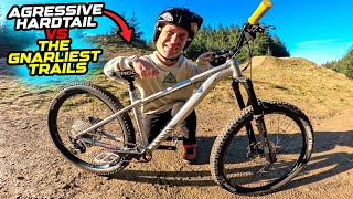 AGGRESSIVE HARDTAIL MTB vs GNARLIEST TRAILS IN THE BIKEPARK [upl. by Reeves]