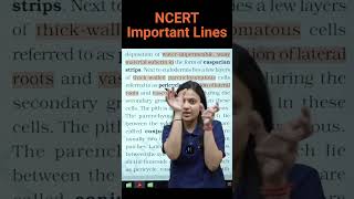 Pericycle  Biology NEET  NCERT important lines for NEET  ncert neet biology neetpreparation [upl. by Adaiha]