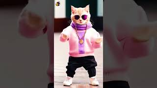 pop kitten dancing miao 🤣😜🐈 [upl. by Onaicilef384]