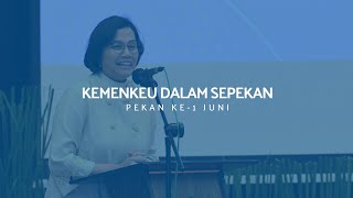 Optimisme Kerangka Ekonomi Makro dan Kebijakan Fiskal 2024 [upl. by Omixam100]