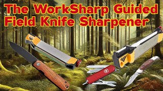 The Best Knife Sharpener [upl. by Neall940]