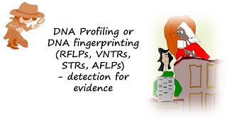 DNA profiling or DNA fingerprinting using RFLPs VNTRs STRs or AFLPs help detect evidencen [upl. by Yessej378]