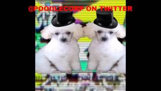 hacked by poodlecorp theme [upl. by Airetal]