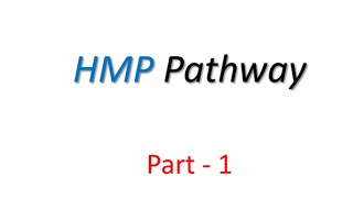 Hexose Monophosphate Pathway HMP I Pentose Phosphate Pathway Part1  Site amp Significance [upl. by Bernardina483]