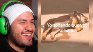 TIKTOKS TAN XD que SOÑARÁS que vas al BAÑO 😴🚽 [upl. by Oloap]