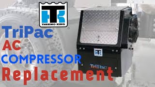 ThermoKing Tripac AC Compressor and Dryer Replacement and How To Recharge It Yourself  DIY [upl. by Calendre]