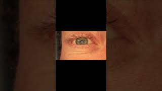 The Cornea Key to Vision shorts science [upl. by Missi]