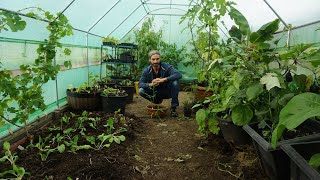 How to use a polytunnel High tunnel  Grapes  Vegetables  Trees [upl. by Hooker]