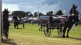 Concours Hippique Drogeham 2017  Sfeerimpressie [upl. by Sharyl]