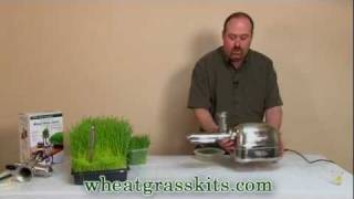 Harvesting amp Juicing Wheatgrass  Wheat Grass Juice [upl. by Camp]