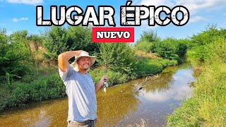 PESCA Y COCINA de anguilas en este arroyo gratis y fantastico mucha aventura y mas MJPESCA epi 9 [upl. by Ycrad422]