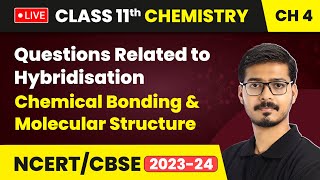 Questions Related to Hybridisation  Chemical Bonding amp Molecular Structure  Class 11 Chemistry Ch4 [upl. by Dorene]