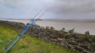 Huge Winter Flounder  River Leven  Cumbria [upl. by Adnilg255]