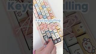 Satisfying keycap removal💕 asmr keycaps asmrkeyboard asmrsleep asmrtriggers kawaiisetup cute [upl. by Willy]