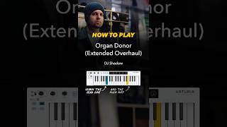 Learn How to Play “Organ Donor” by DJ Shadow 🎧 [upl. by Pomfret]