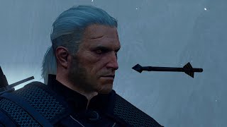 The Witcher 3 POLISH VOICE ACTING IS SUPERIOR [upl. by Myrta]