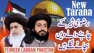 Rizvi Sher k chahny waly deen bachany nikly hein  Million March Tarana  TLP New Tarana [upl. by Leiram]