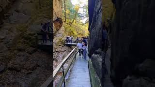 Discovering Flume Gorge in NH 🍁 🍃 🍂 [upl. by Anitel]