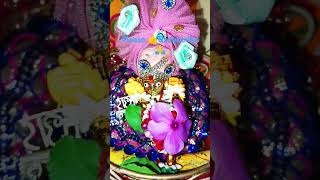 krishna kanhiya nandlala murlidhar mohan viralshorts2 please 👍 amp subscribe to my channel 🙏 [upl. by Halet398]