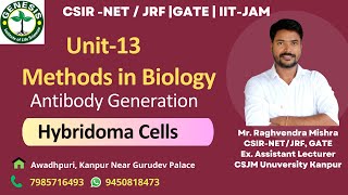 Antibody generation  Hybridoma Cells  Monoclonal Antibodies  Methods in Biology  L1 [upl. by Akehsyt]